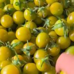 Image_20260416181222_486_4