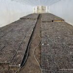 Image_20260416181224_487_4