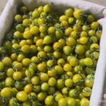 Image_20260416181227_488_4