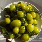 Image_20260416181232_490_4