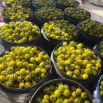 Image_20260416181234_491_4