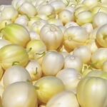 Image_20260417173729_504_4