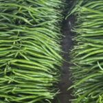 Image_20260417173730_505_4