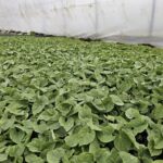 Image_20260417173734_507_4