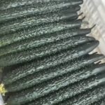 Image_20260417173736_508_4