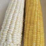 Image_20260417173737_509_4