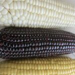 Image_20260417173739_510_4