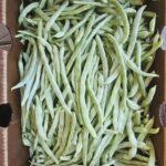 Image_20260417173744_513_4