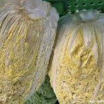 Image_20260417173746_514_4