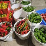 Image_20260417173749_516_4