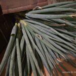 Image_20260417173751_517_4