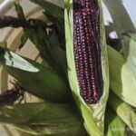 Image_20260417173754_519_4