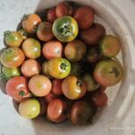 Image_20260417173800_522_4