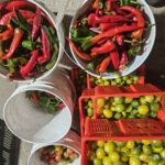 Image_20260417173801_523_4