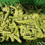 Image_20260417173803_524_4