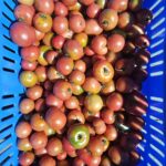 Image_20260417173805_525_4