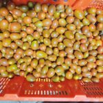 Image_20260417173807_526_4